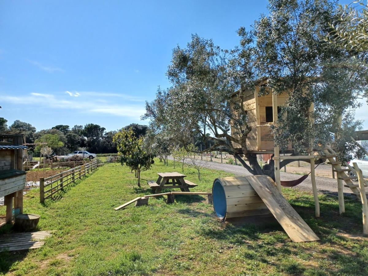 Apartamento En Casa De Campo Cerca De La Playa Pals Luaran gambar