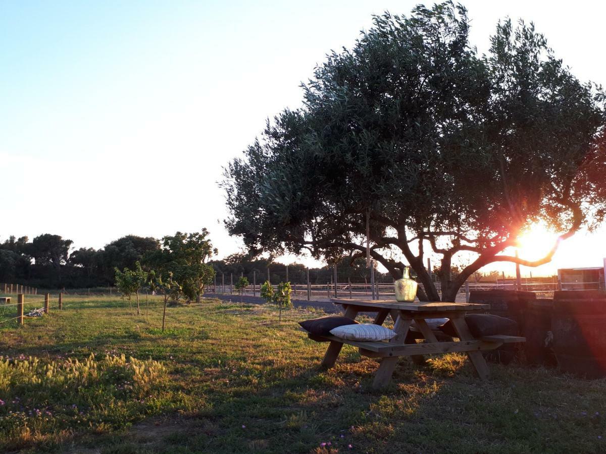 Apartamento En Casa De Campo Cerca De La Playa Pals Luaran gambar